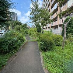 8月13日か14日草刈りのお手伝い【充電草刈り機　エンジン草刈り...