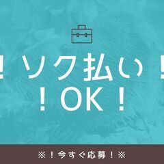 戸田市×日勤×週休二日【3t配送ドライバー🚚💨】月収42万円可🌈日払いOK・日額保証あり・交通費支給🌈A11K0001-1(21)の画像