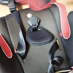 ジュニアシート　期間限定の画像