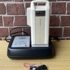 【メーカー純正品】BRIDGESTONE ブリヂストン アシスタワゴン 電動アシスト三輪車 AW1C38 シニア 高齢者 譲渡証明書・バッテリー充電器・スペアキー（鍵）付　の画像