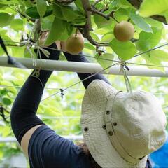 再婚で愛知から熊本に来ました🍀 − 熊本県