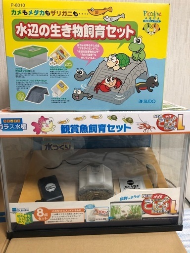 ガラス水槽　プラケース