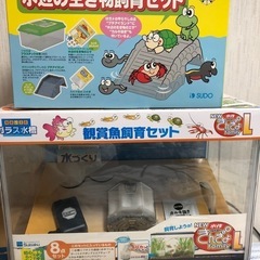 ガラス水槽　プラケース