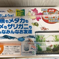 ガラス水槽　プラケースの画像
