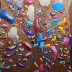 やってみませんか？ボルダリング