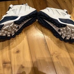 少年野球用(トレーニングシューズadidas.ポイントスパイクミズノ)の画像