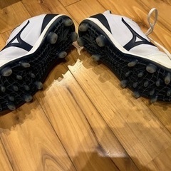 少年野球用(トレーニングシューズadidas.ポイントスパイクミズノ)の画像
