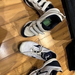 少年野球用(トレーニングシューズadidas.ポイントスパイクミズノ)の画像