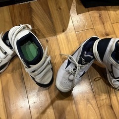 少年野球用(トレーニングシューズadidas.ポイントスパイクミズノ)の画像
