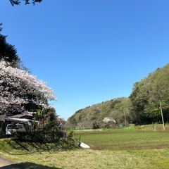 ロードバイクメンバー募集のお知らせ