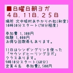 【８月】日曜日朝ヨガ【北中城あやかりの杜】の画像