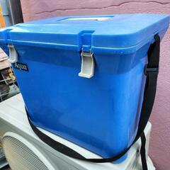 信和　大きめ🧊クーラーボックス