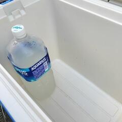 信和　大きめ🧊クーラーボックスの画像