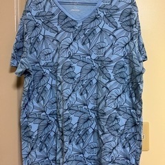 Goodfellow &co アメリカ古着、Tシャツ夏服ボタニカ...