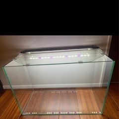 水槽のセットの画像