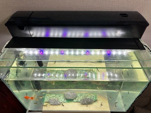 水槽のセット