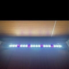 水槽のセットの画像