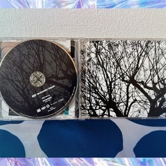 100SEASONS　三代目 J soul brothers の画像
