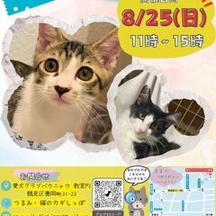 つるみ・猫のカギしっぽ譲渡会８月２５日　 JR鶴見駅西口から徒歩...