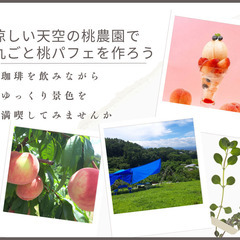 軽井沢のお隣！天空の桃農園で世界に一つだけの「まるごと桃パフェ」...