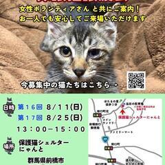あんしん保護猫譲渡会@前橋