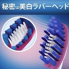 【新品】高級歯ブラシ　カミソリ　髭剃り　歯ブラシ　歯磨き　セット　プレミアムディスポ　イグニス　シック プロテクター ディスポ　ジレット スキンガード　の画像