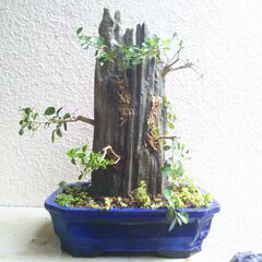 盆景石柱ー２