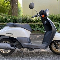 【良品】 原付 ホンダ トゥデイ 4st H18の画像
