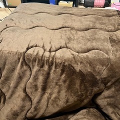 こたつ布団のみ