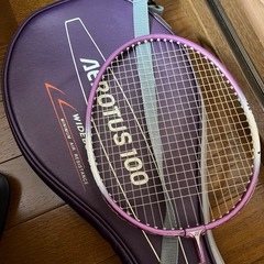 バトミントン　ラケット　パープル