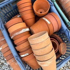 テラコッタ 素焼き 鉢 大量 made in Italy (nakajima) 南大塚の