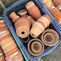 テラコッタ 素焼き 鉢 大量 made in Italy (nakajima) 南大塚の