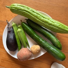 野菜セット