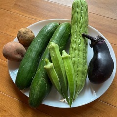 野菜セット