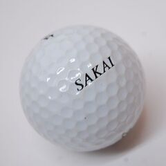 数回のみ使用 Titleist ゴルフボール TOUR PRO BALATA 12球セット ネーム入り タイトリスト ツアー プロ バラタ 札幌市 清田区 平岡の画像