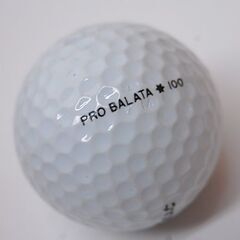 数回のみ使用 Titleist ゴルフボール TOUR PRO BALATA 12球セット ネーム入り タイトリスト ツアー プロ バラタ 札幌市 清田区 平岡の画像