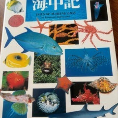 夏❗️海❗️知的好奇心の海の生き物図鑑❗️