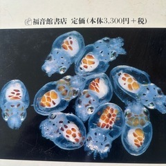 夏❗️海❗️知的好奇心の海の生き物図鑑❗️の画像