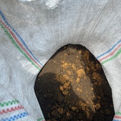 庭で出た残土の画像