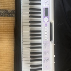 カシオLK-315