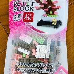 プチブロック盆栽桜