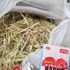 決まりました★牧草オーツヘイとうさぎ・小動物おやつの詰め合わせ♡...