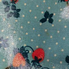 🎀イチゴ柄のキャリーバッグ🎀の画像