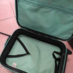 🎀イチゴ柄のキャリーバッグ🎀の画像