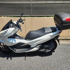 PCX125 JF81 2019年式 白