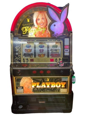 珍古台 パチスロ プレイボーイ