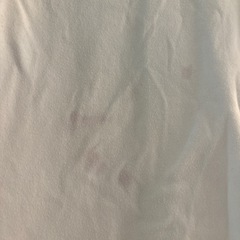 ジェイダ　Tシャツの画像