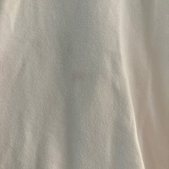 ジェイダ　Tシャツの画像