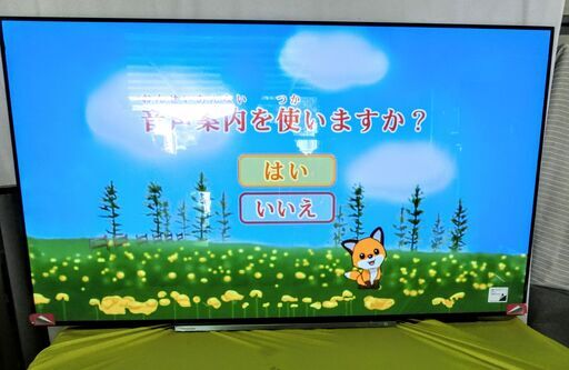 TOSHIBA 有機ELテレビ 55X930 2019年製　東芝　55インチ　4K対応/4Kダブルチューナー