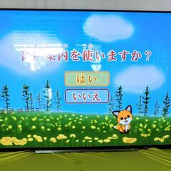 TOSHIBA 有機ELテレビ 55X930 2019年製　東芝　55インチ　4K対応/4Kダブルチューナー